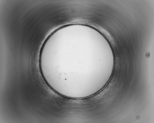 X0000103401288200810031216