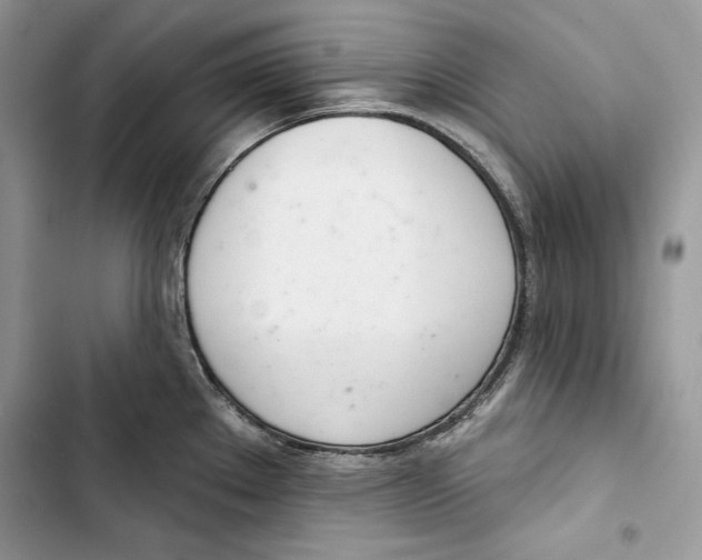 X0000103401289200810031216