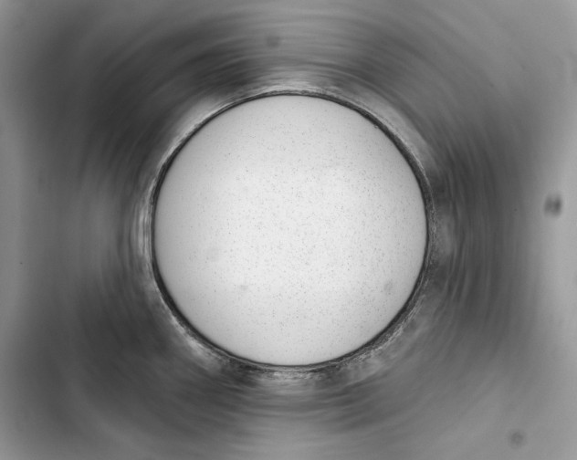 X0000103401290200810031216