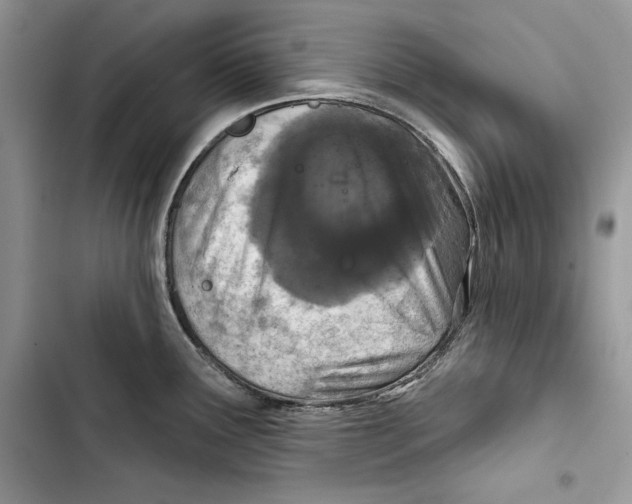 X0000103401291200810031216