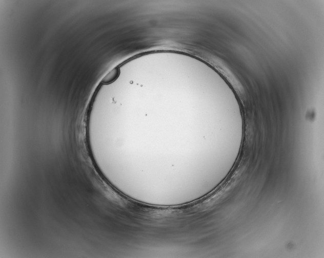 X0000103401292200810031216