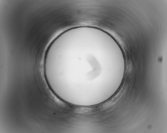 X0000103401294200810031216