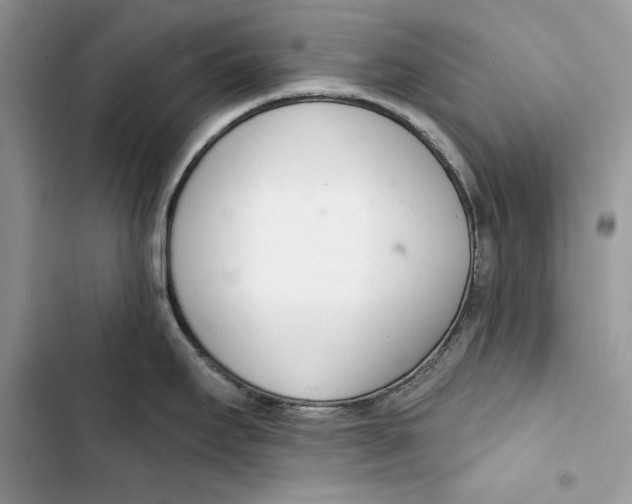 X0000103401295200810031216