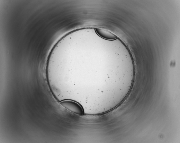 X0000103401296200810031216