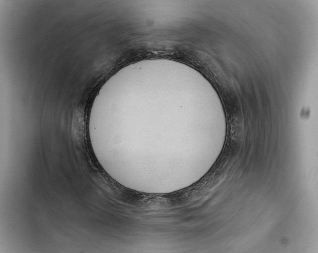 X0000103401298200810031216