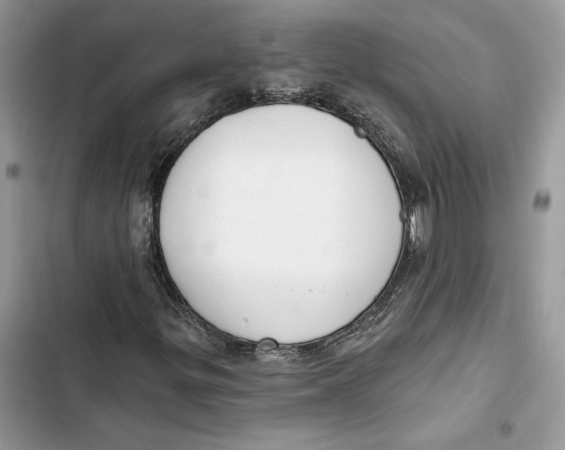 X0000103401299200810031216