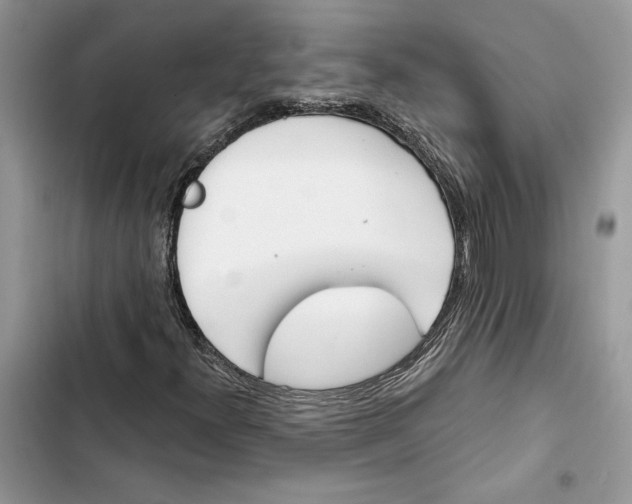 X0000103401300200810031216