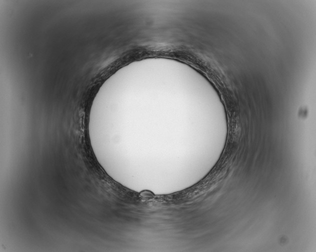 X0000103401301200810031216