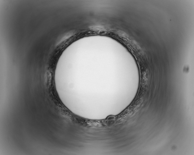 X0000103401302200810031216