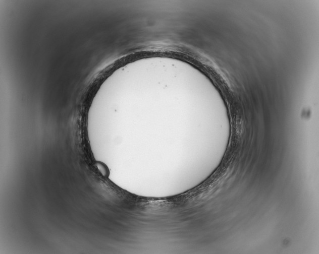 X0000103401304200810031216