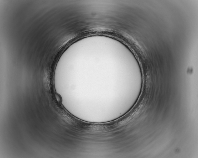 X0000103401305200810031216