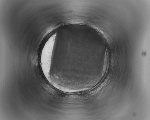 X0000103401306200810031216