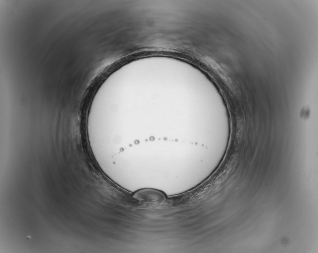 X0000103401307200810031216