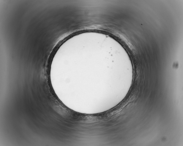 X0000103401308200810031216