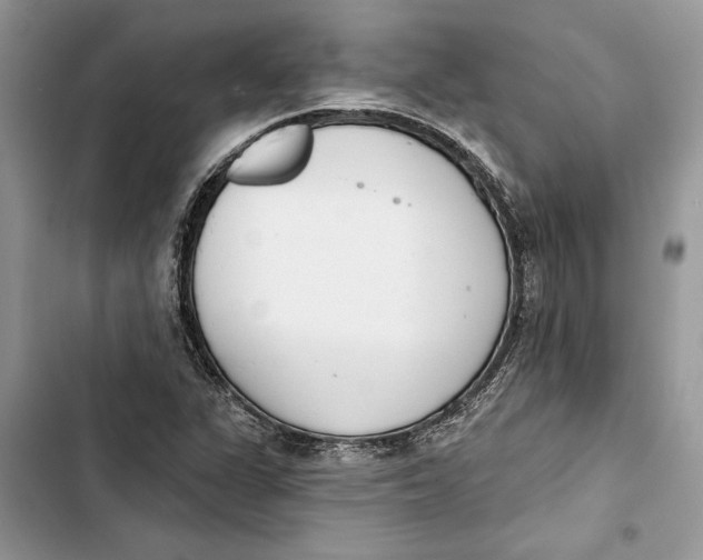 X0000103401311200810031216