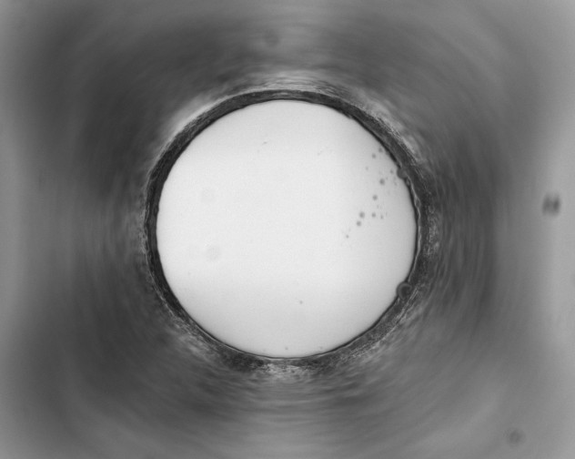 X0000103401312200810031216