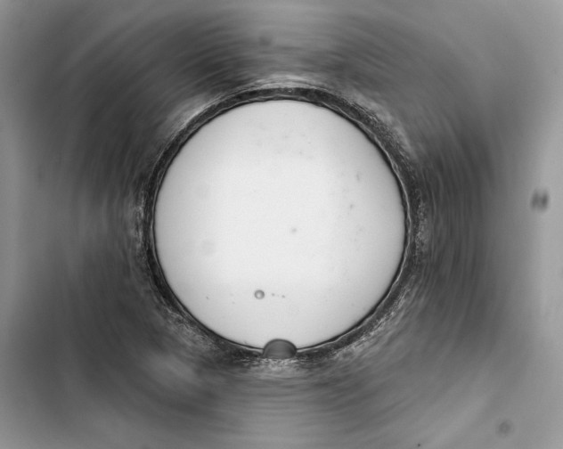 X0000103401313200810031216