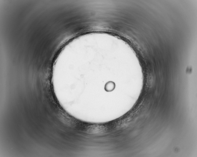 X0000103401314200810031216