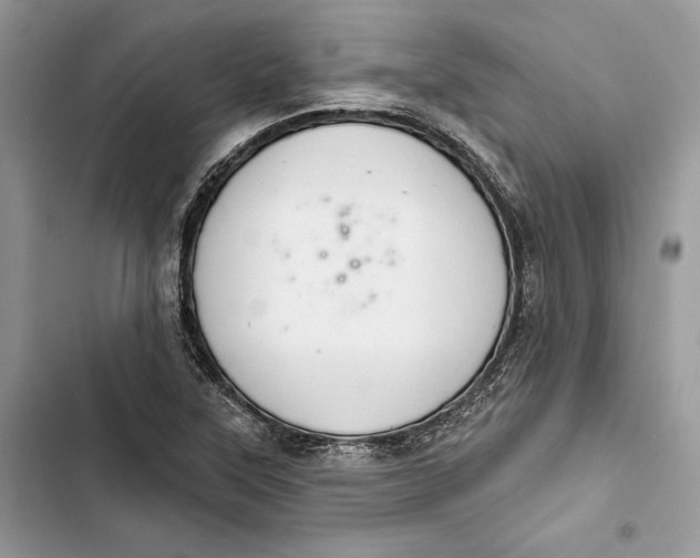 X0000103401315200810031216