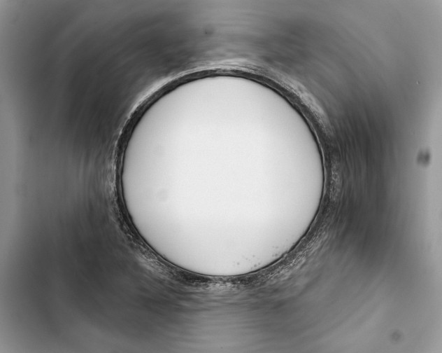 X0000103401316200810031216