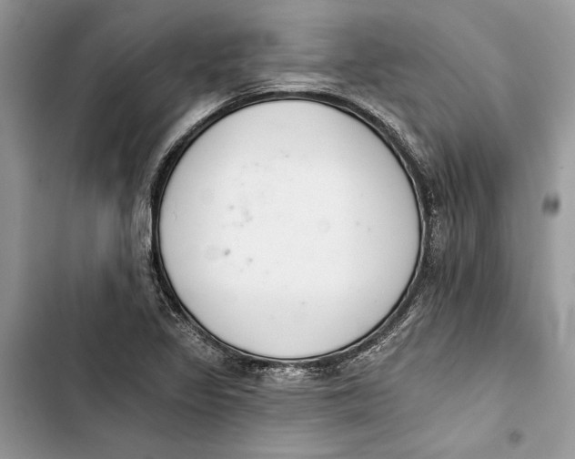 X0000103401317200810031216