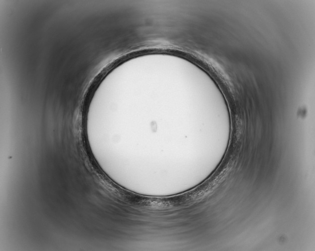 X0000103401318200810031216