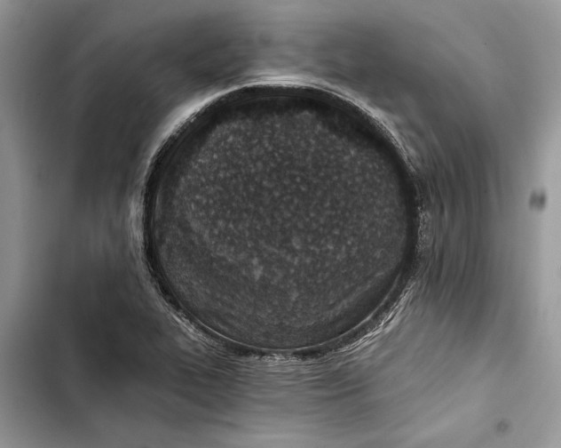 X0000103401319200810031216