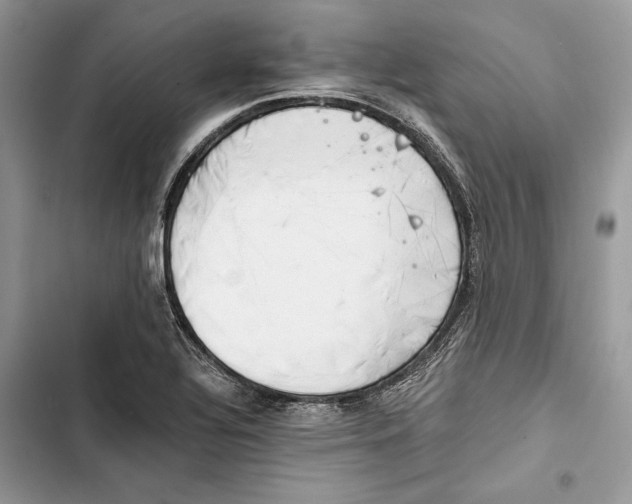 X0000103401320200810031216