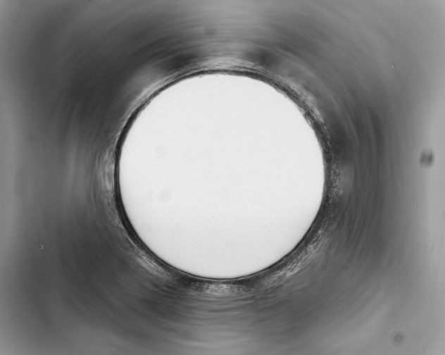 X0000103401322200810031216