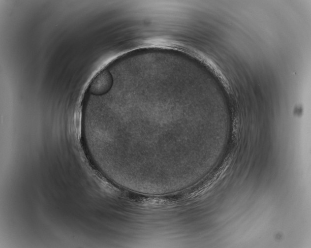 X0000103401323200810031216