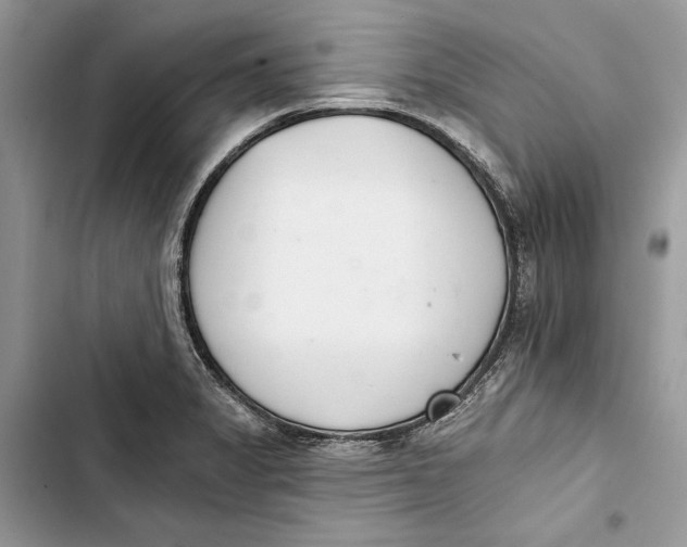 X0000103401325200810031216