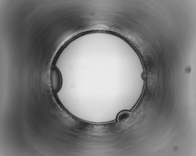 X0000103401326200810031216