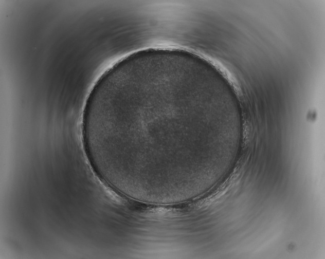 X0000103401327200810031216