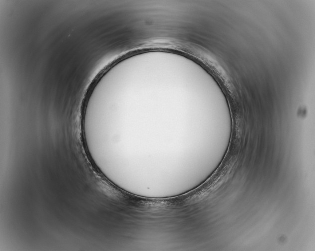 X0000103401328200810031216