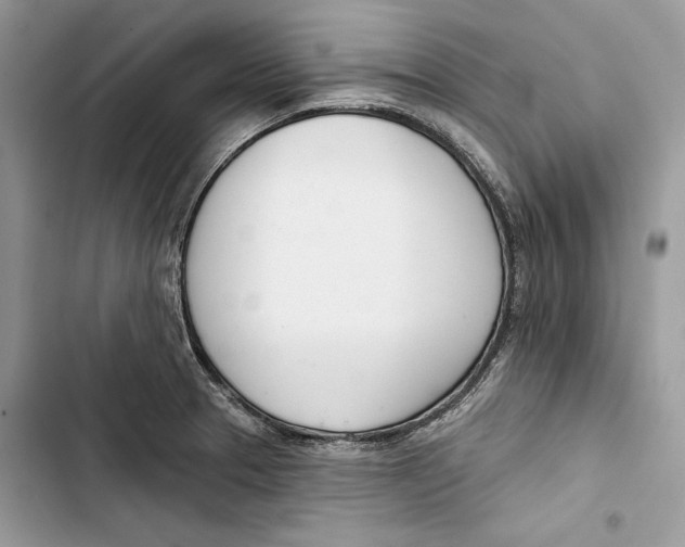 X0000103401329200810031216