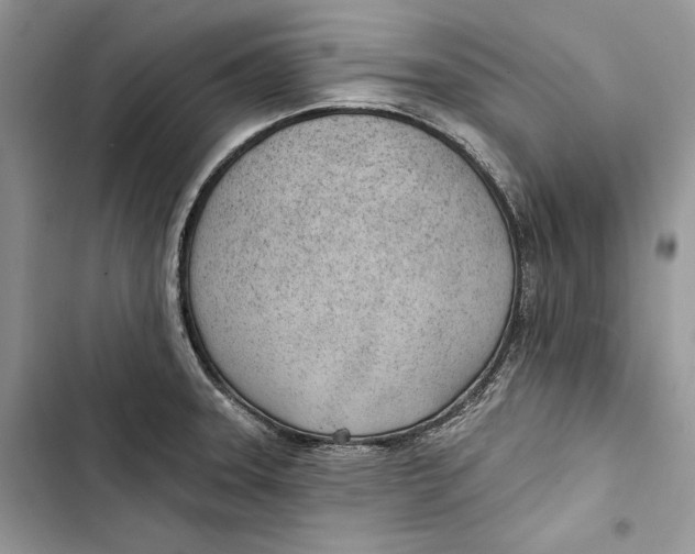 X0000103401331200810031216