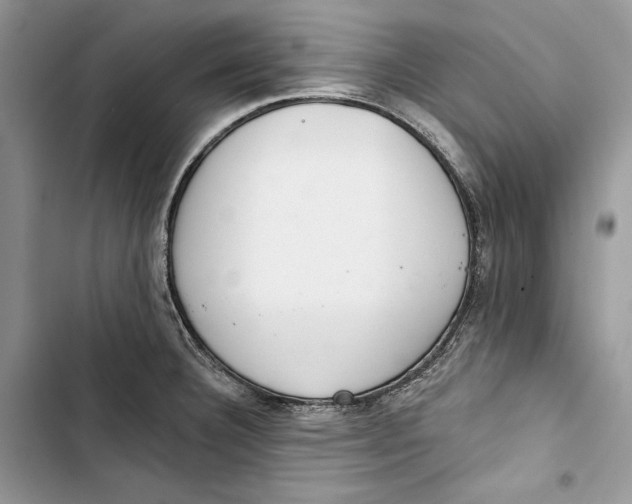 X0000103401332200810031216