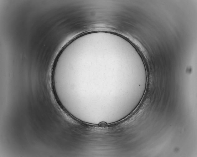 X0000103401333200810031216