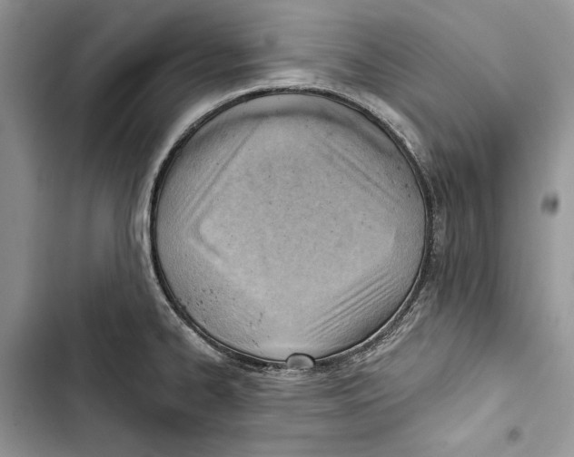 X0000103401334200810031216