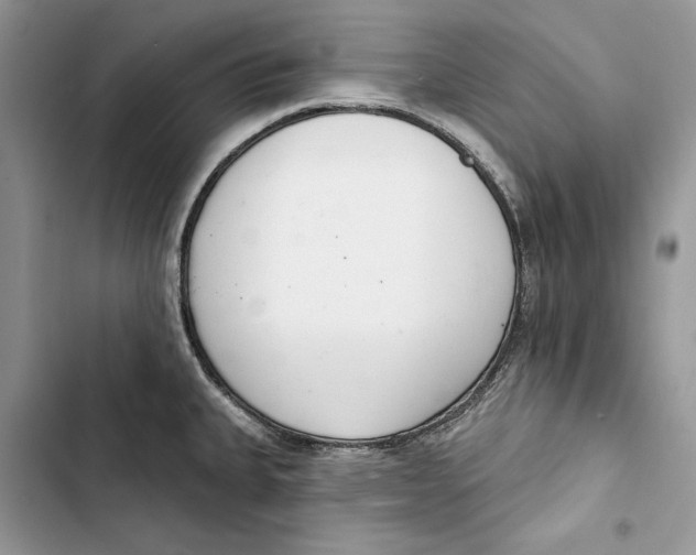 X0000103401335200810031216