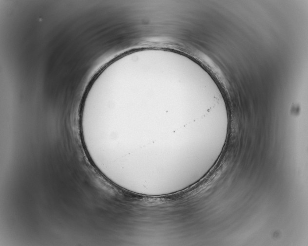 X0000103401336200810031216