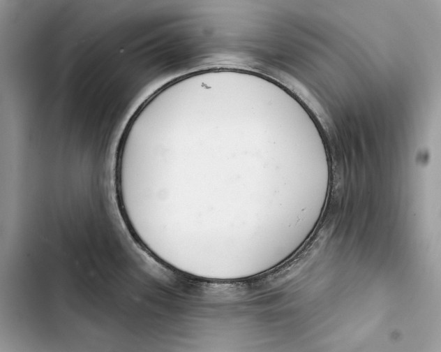 X0000103401339200810031216