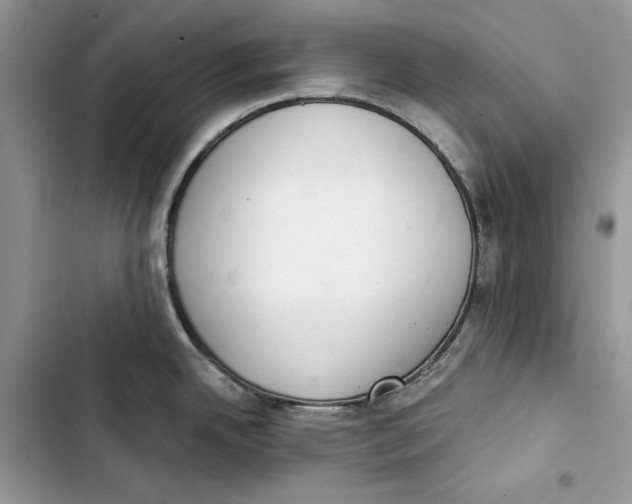 X0000103401342200810031216