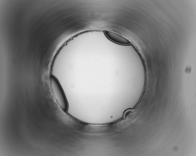 X0000103401344200810031216