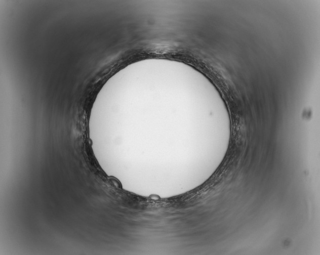 X0000103401349200810031215