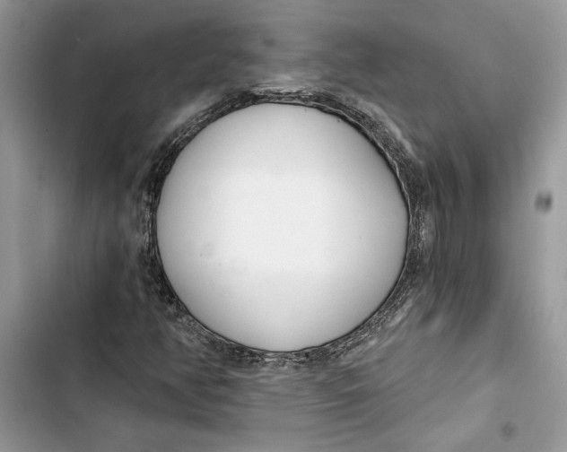 X0000103401350200810031215