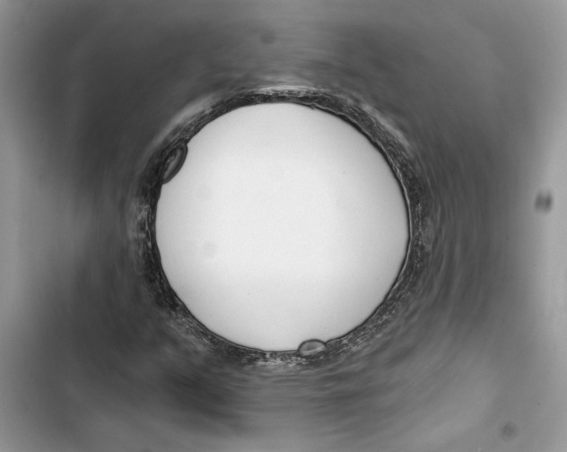 X0000103401351200810031215