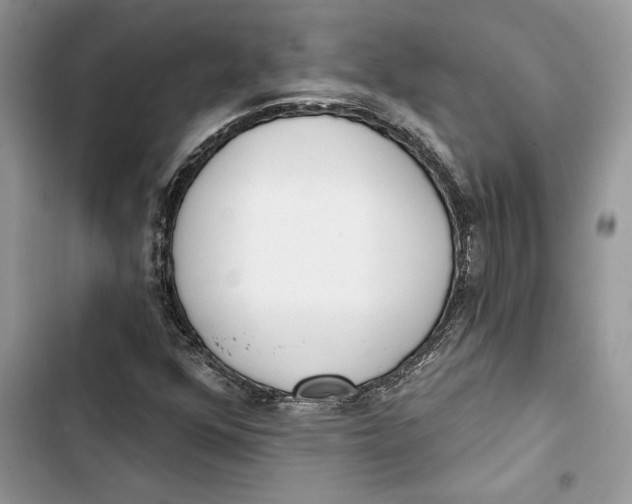 X0000103401352200810031215