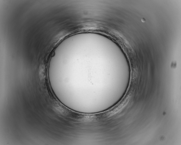 X0000103401353200810031215