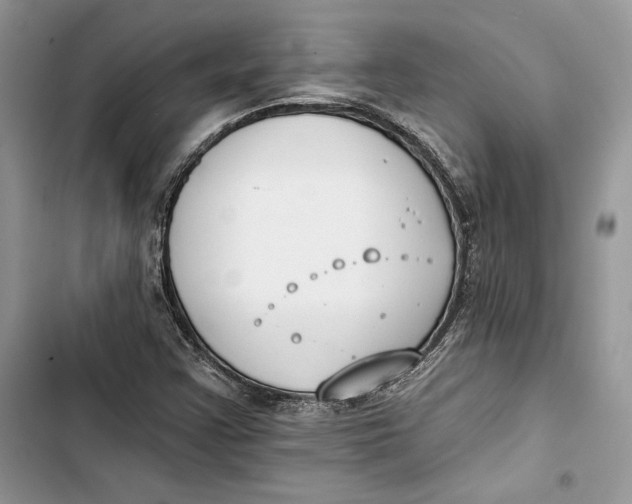 X0000103401355200810031215